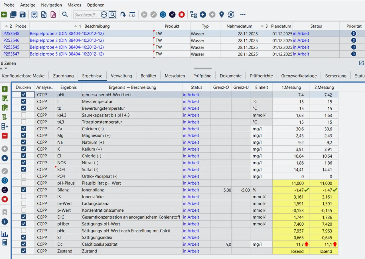 Berechnung der Calcitlösekapazität in diaLIMS (Screenshot)