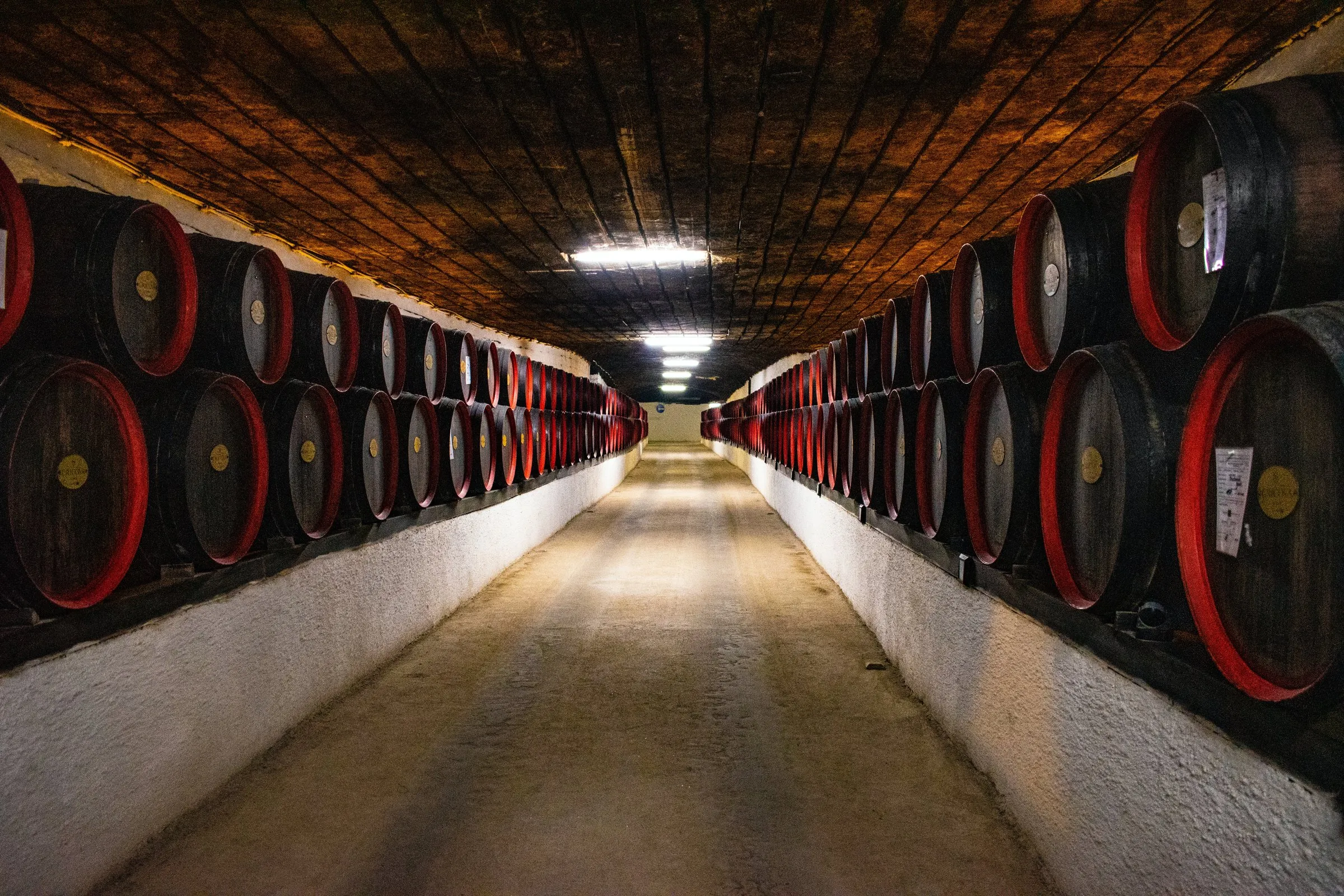 Lagergang mit Holzfässern in einem Keller