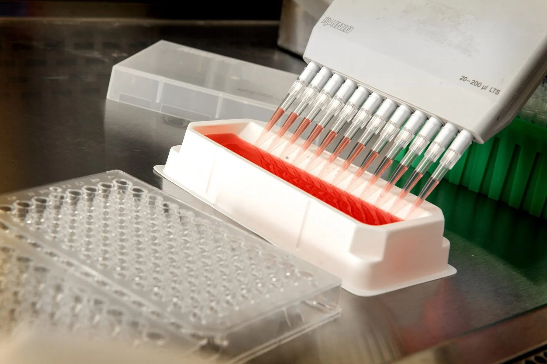 Pipette über einer Mikrotiterplatte