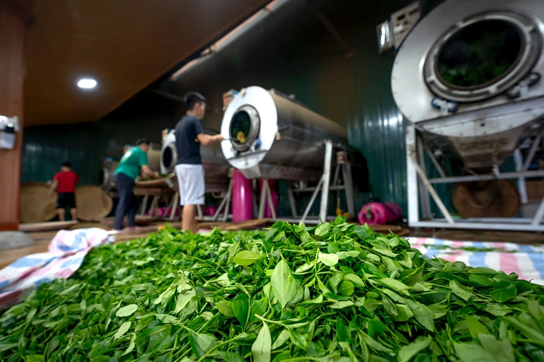 Mitarbeiter an Produktionsanlagen in einer Fertigungshalle